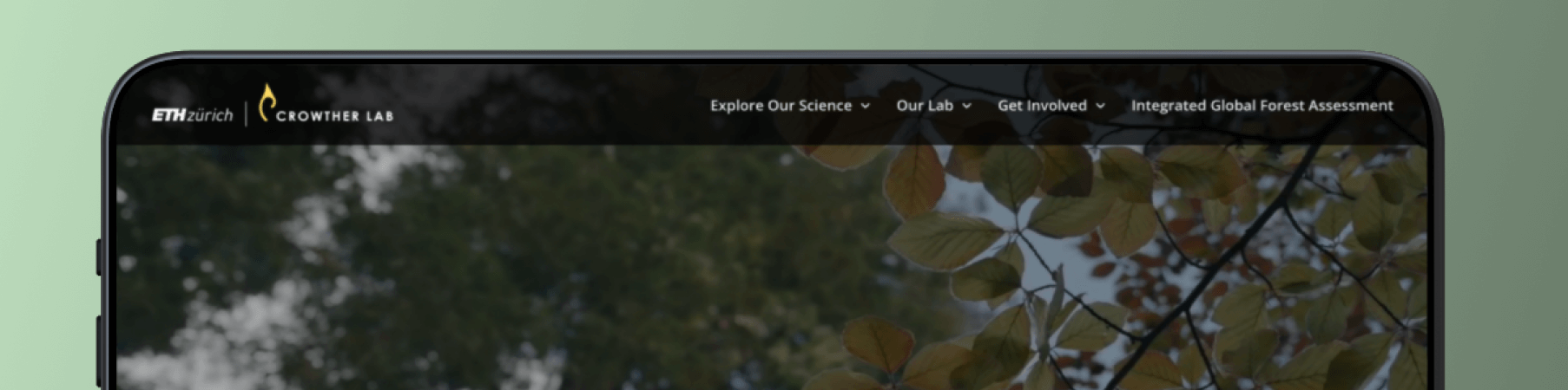 Crowther Lab Website