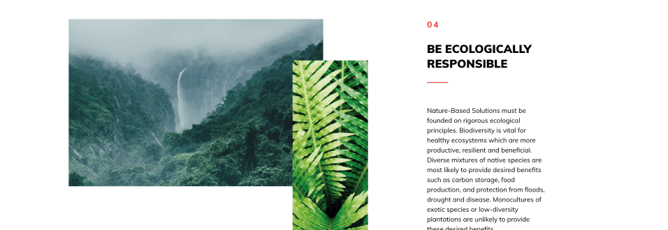 Together With Nature Gallery 2