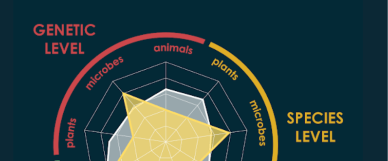 SEED Biocomplexity Gallery 1