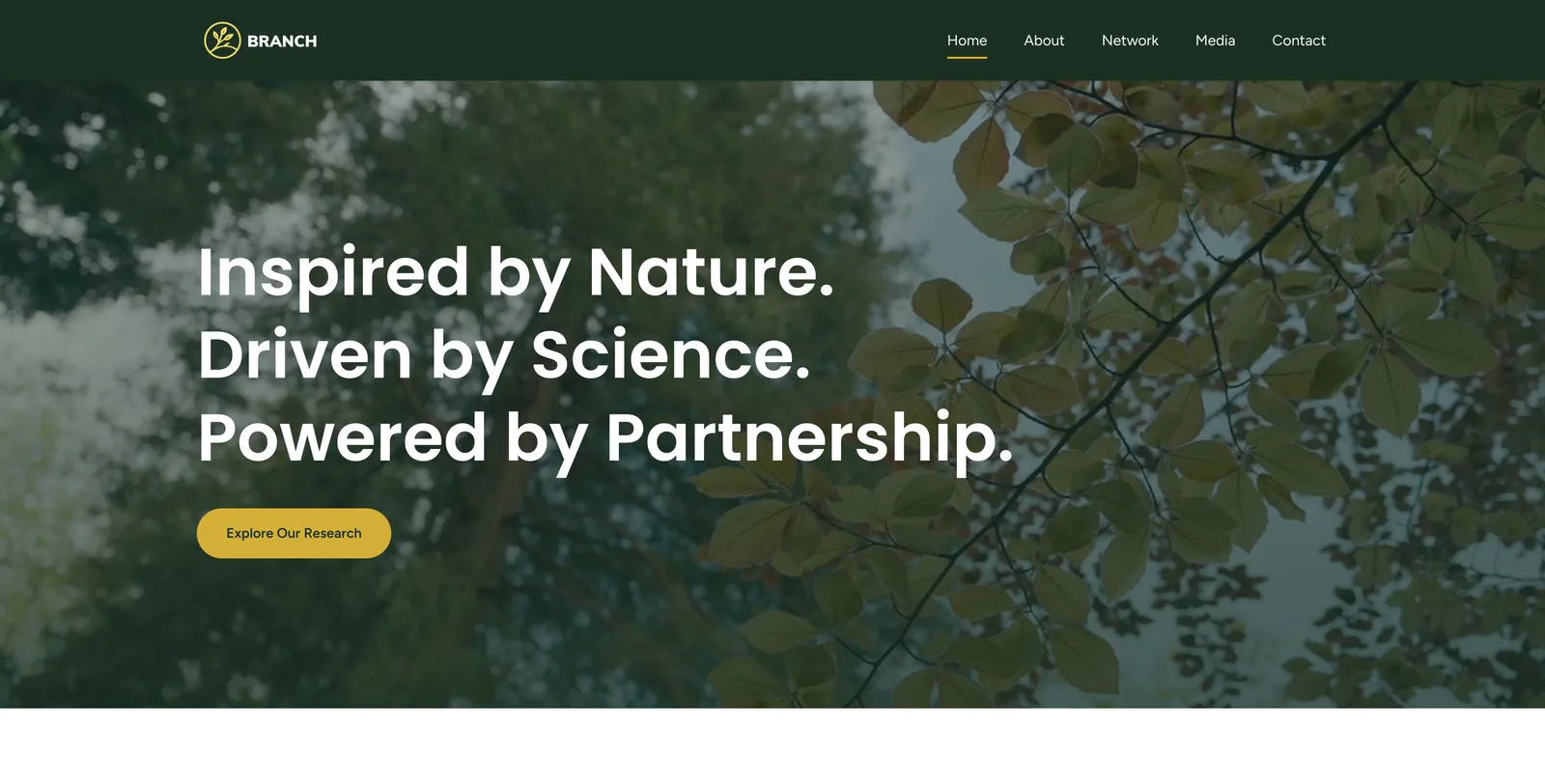 BRANCH Institute, real project work